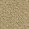 037 Beige